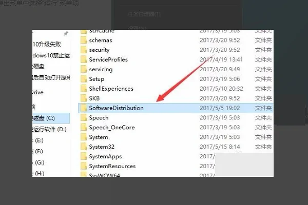 20241203192859301-image